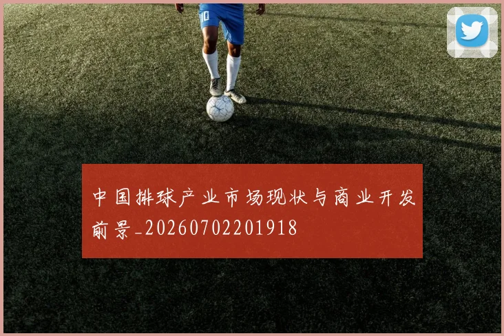 中国排球产业市场现状与商业开发前景_20260702201918